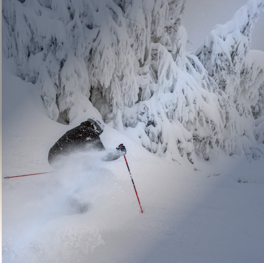 Ski alpin et ski de fond à moins de 45 minutes des chalets